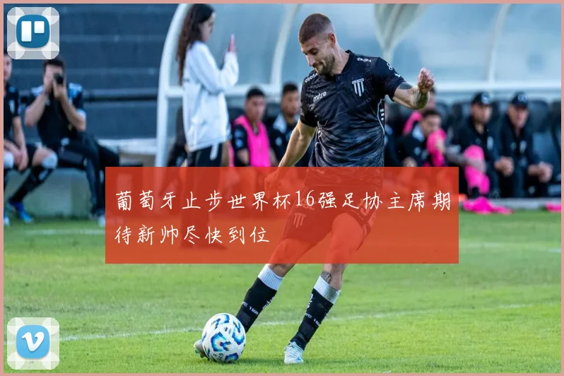 葡萄牙止步世界杯16强足协主席期待新帅尽快到位