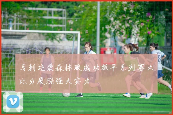 马刺逆袭森林狼成功扳平系列赛大比分展现强大实力