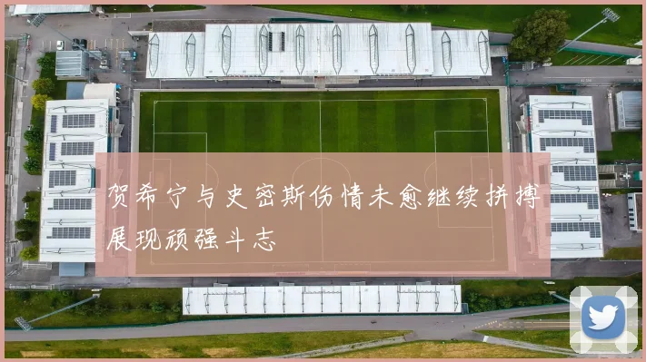 贺希宁与史密斯伤情未愈继续拼搏展现顽强斗志