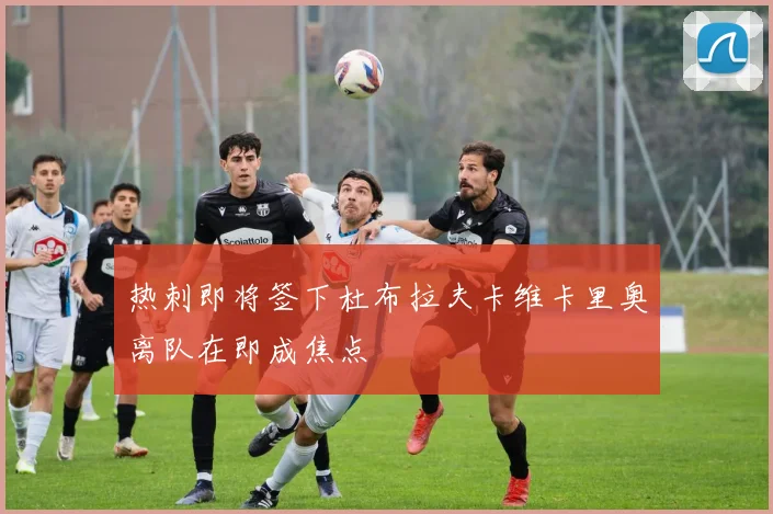 热刺即将签下杜布拉夫卡维卡里奥离队在即成焦点